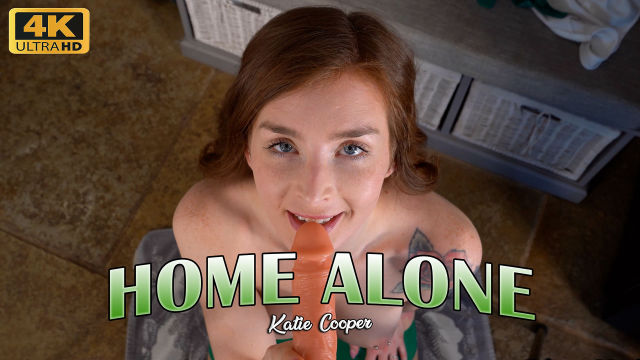HOME ALONE