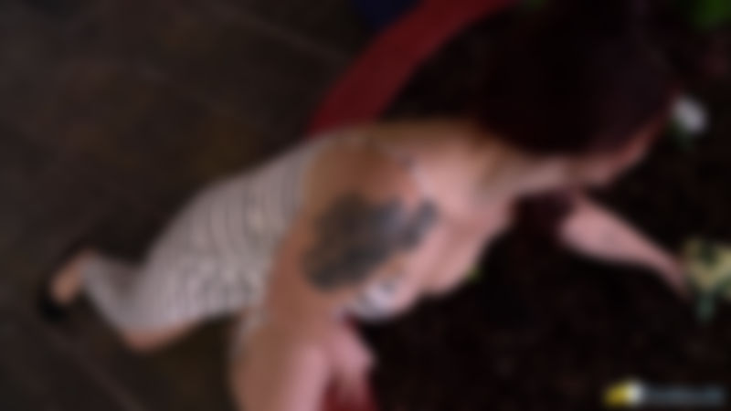 Lucia Love "More Exciting Than Gardening"