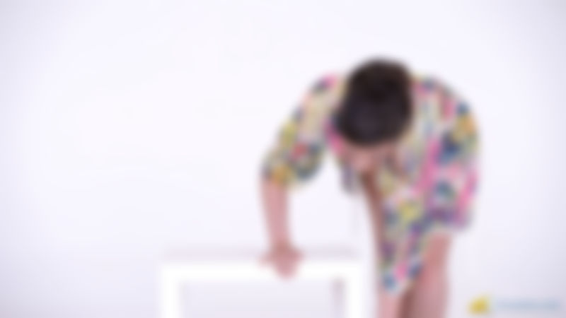 Charlie Rose "Busty Brunette"