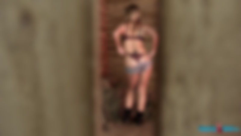 Sophie Star "Stable Star"