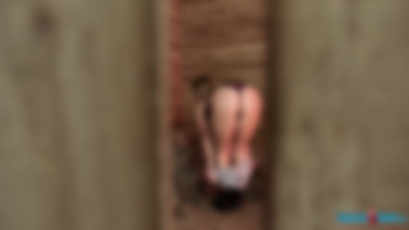 Sophie Star "Stable Star"