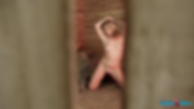 Sophie Star "Stable Star"