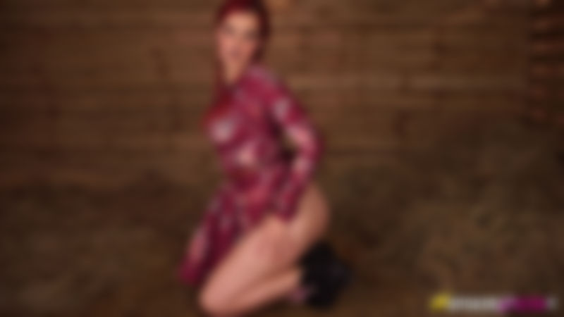 Dolly "Extra Motivation"