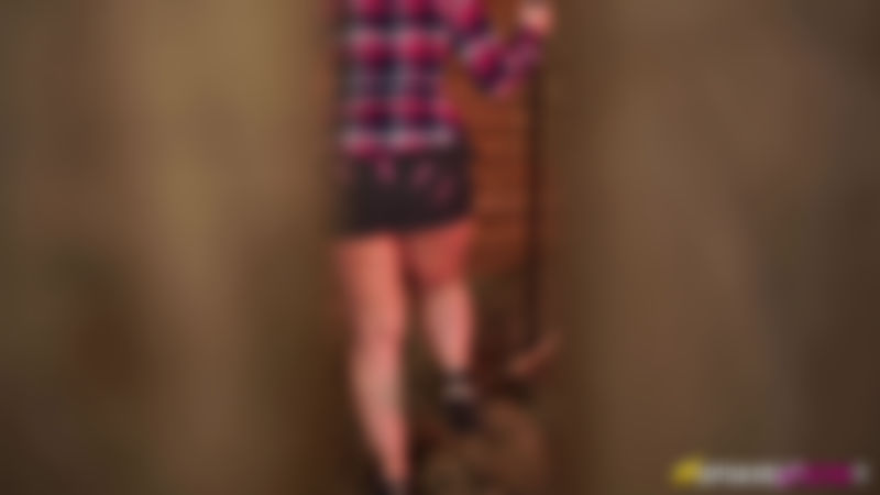 Nikki Lee "Barn Perv"
