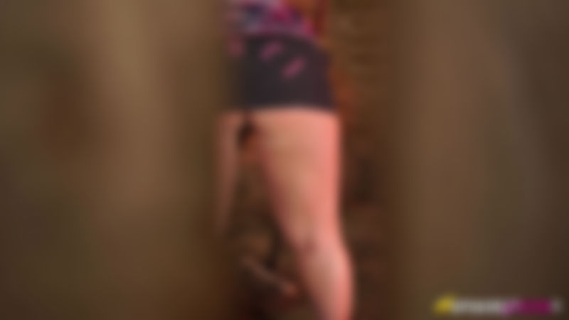 Nikki Lee "Barn Perv"