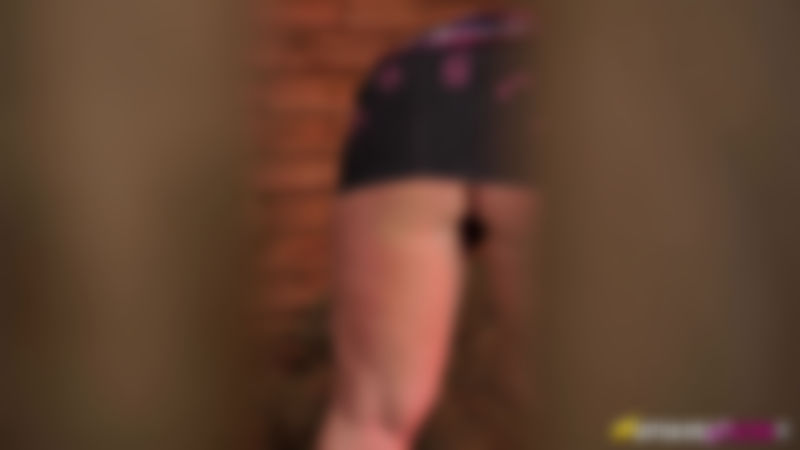 Nikki Lee "Barn Perv"