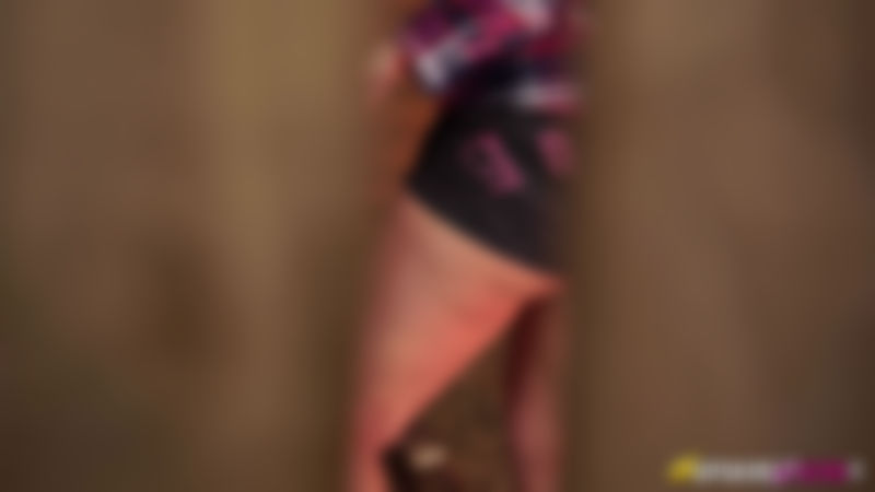 Nikki Lee "Barn Perv"