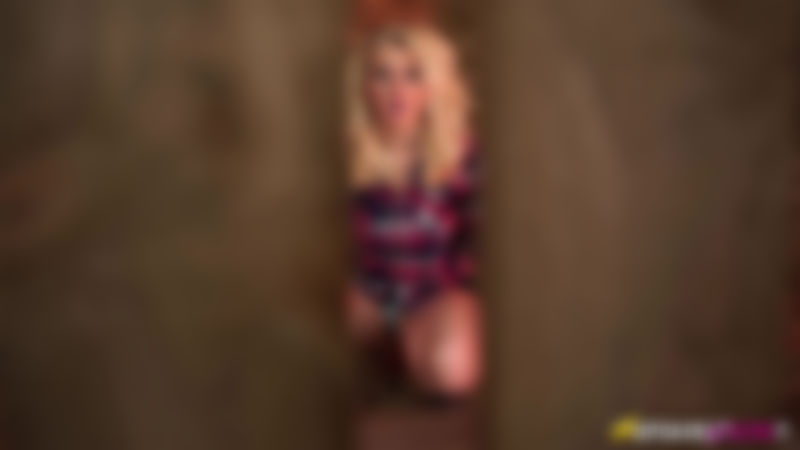 Nikki Lee "Barn Perv"