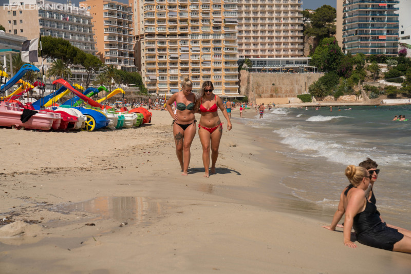 Bikini Babes