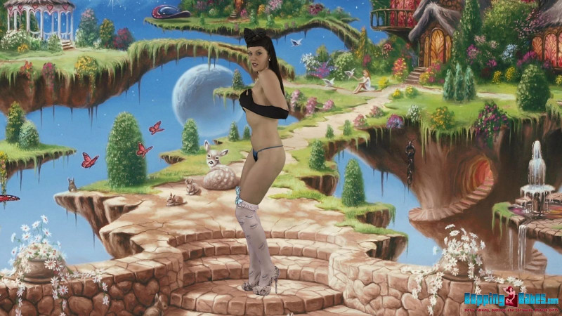 Shay Hendrix "Alice In Wankland"